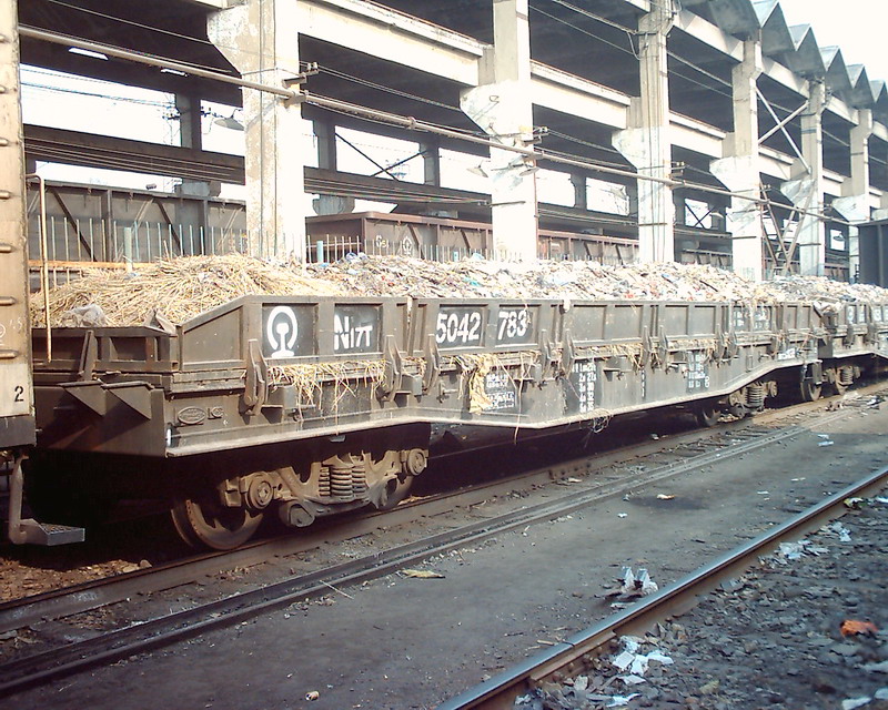 J_3378 N17T.jpg